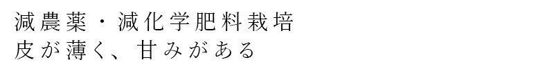 オーガニック 健康生活 むぎごころの小豆 オーサワジャパン オーサワの特別栽培小豆(北海道産) 購入金額別特典あり 正規品 保存料 無添加 減農薬 減化学肥料 北海道産きたろまん 薄皮タイプ 甘みがある｜アングル2