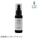 ヘアオイル ノンシリコン パルセイユ 芦屋ハーブバレーパルセイユ 加唐島ツバキヘアオイル 50ml 購入金額別特典あり 正規品 オーガニック 無添加 ナチュラル 天然 頭皮 植物 BIO ノンケミカル 自然 ヘアケア