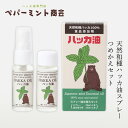 ハッカスプレー ペパーミント商会 天然ハッカ油スプレー詰め替えセット（スプレー20ml＋詰め替え20ml） 食品添加物 購入金額別特典あり 正規品 無添加 食品 アロマ マスクスプレー ミントオイル 和種薄荷 持ち運びサイズ リフレッシュ 清涼感