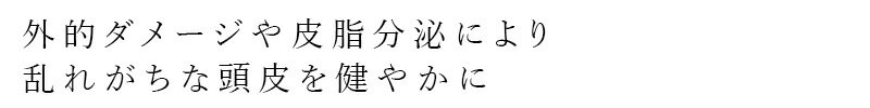 薬用シャンプー 凜恋（リンレン）薬用スカルプケア シャンプー ミント＆レモン（詰...