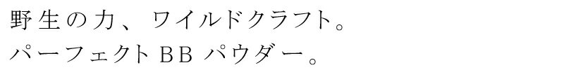 フェイスパウダー 無添加 QUON クオン シンクロナイザー BBパウダー SPF50 PA++++ 15g ルースパウダー 購入金額別特典あり オーガニック 正規品 メイク パウダー UV 天然 ナチュラル ノンケミカル 自然