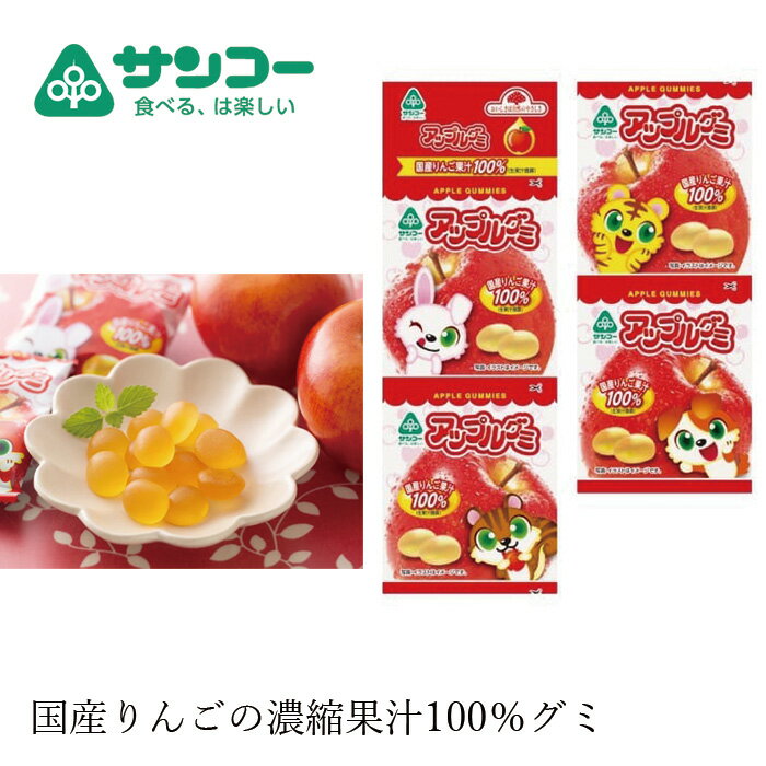 お菓子 健康志向菓子のサンコー アップルグミ 20g×4連 購入金額別特典あり 正規品 ナチュラル 天然 無添加 不要な食品添加物 化学調味料不使用 自然食品