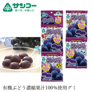 お菓子 健康志向菓子のサンコー グレープグミ 20g×4連 てんさい糖使用 ブドウ糖不使用 購入金額別特典あり 正規品 ナチュラル 天然 無添加 不要な食品添加物 化学調味料不使用 自然食品 有機ブドウ果汁