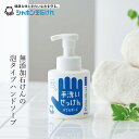 シャボン玉石けん 泡タイプ ハンドソープ バブルガード300ml 【シャボン玉石けん】 購入金額別特典あり 正規品 ナチュラル 合アルコール・抗菌剤、さらに香料...