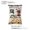 楽天オーガニック 健康生活 むぎごころお菓子 創健社 メイシーちゃんのおきにいり しおあじのポップコーン 30g 購入金額別特典あり 正規品 ナチュラル 天然 無添加 不要な食品添加物 化学調味料不使用 自然食品 赤ちゃん ポップコーン おやつ