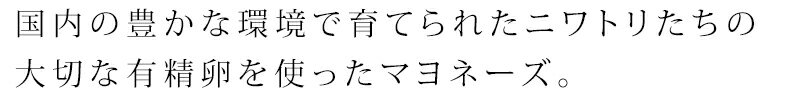 マヨネーズ 創健社 有精卵マヨネーズ 300g 購入金額別特典あり 正規品 国内産 ナチュラル 天然 無添加 不要な食品添加物 化学調味料不使用 自然食品 2