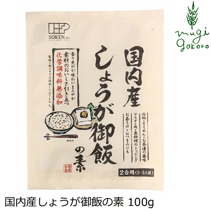 しょうが御飯の素 創健社 国内産しょうが御飯の素 100g 購入金額別特典あり 正規品 ナチュラル 天然 無添加 不要な食品添加物 化学調味料不使用 自然食品