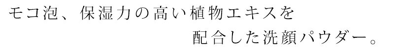 洗顔 無添加 サプミーレ パウダーウォッシュ ...の紹介画像2