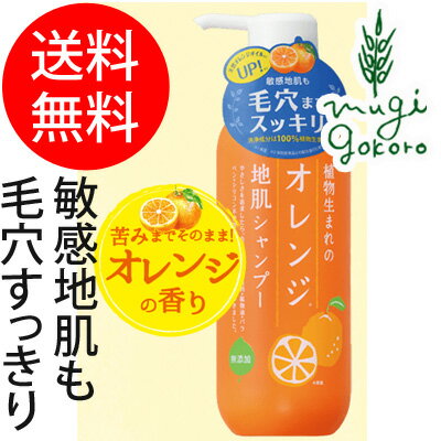 シャンプー オレンジ シャンプー オレンジ