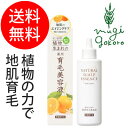 【育毛剤 オーガニック 無添加 送料無料】≪購入金額別特典あり≫■正規品■【石澤研究所】【植物生まれ(オレンジ)】 植物生まれの薬用育毛美容液 180ml (育毛美容液) ヘアケア 育毛 頭皮ケア ノンパラベン ノンシリコン 低刺激 石澤研究所
