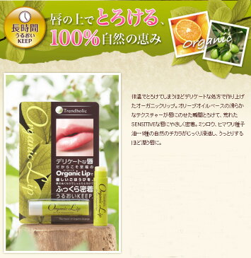 リップクリーム オーガニック トレンドホリック trend holic オーガニックリップN 4.5g 購入金額別特典あり 正規品 無添加 石澤研究所 スキンケア スティック 天然 ナチュラル ノンケミカル 自然