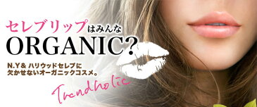リップクリーム オーガニック トレンドホリック trend holic オーガニックリップN 4.5g 購入金額別特典あり 正規品 無添加 石澤研究所 スキンケア スティック 天然 ナチュラル ノンケミカル 自然