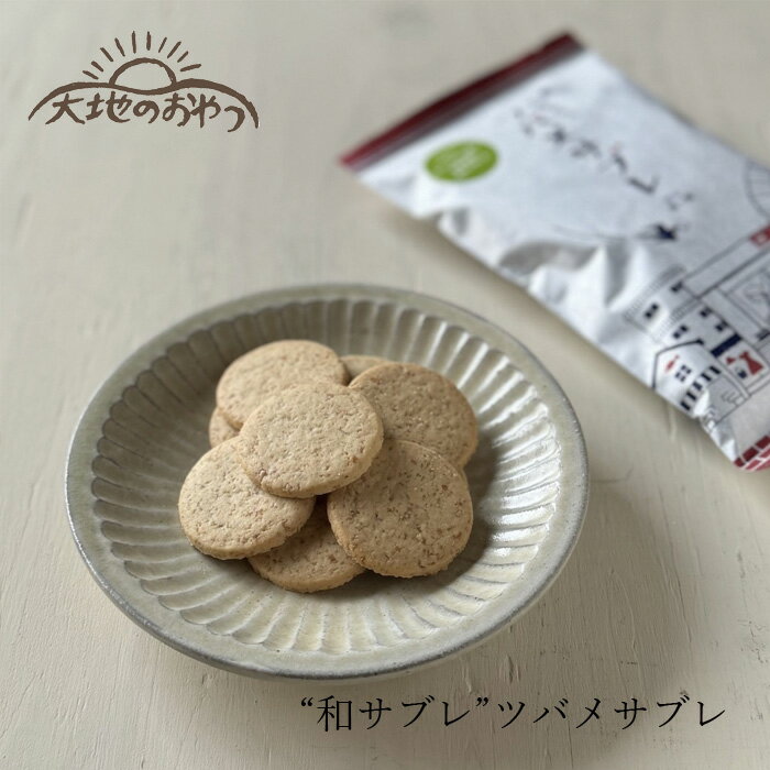 和サブレ 大地のおやつ ツバメサブレ 110g 購入金額別特典あり 正規品 国内産 保存料 無添加 遺伝子組み換え原料不使用 自然 山本佐太郎商店 古代小麦てんさい糖 米油 ディンケル小麦全粒粉 さっくり ほろり 和風サブレ