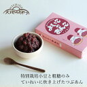 つぶあん 大地のおやつ よいこのあんこ(つぶあん) 300g 購入金額別特典あり 正規品 国内産 保存料 無添加 自然 山本佐太郎商店 北海道産特別栽培小豆 鹿...