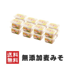 味噌蔵から即納!麦味噌 無添加 減塩 国産原料100%使用300gカップ入り16個 まとめ買いで10%OFF