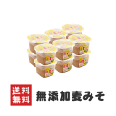 味噌蔵から即納!麦味噌 無添加 減塩 国産原料100%使用750gカップ入り12個 まとめ買いで10%OFF