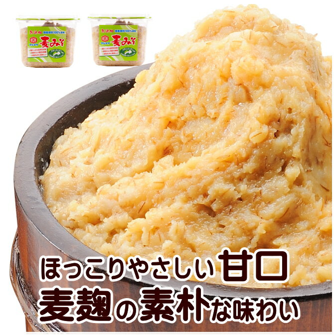 あすも 元気もん120g 3個 熟成『麦味噌』2個 みがらし味噌【宇和島の名産品】1個 合計6点セット お礼 贈り物 お歳暮 ギフト プレゼントスイーツ メーカー直送 正規代理店