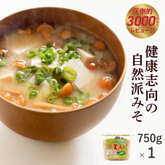 【ふるさと納税】 麦みそ 1kg ×4個 井伊商店 麦みそ 味噌 みそ 麦味噌 発酵 発酵調味料 調味料 麦 無添加 麹 こうじ 天然醸造 数量限定 国産 愛媛 宇和島 J010-108001