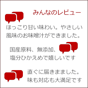 レビュー