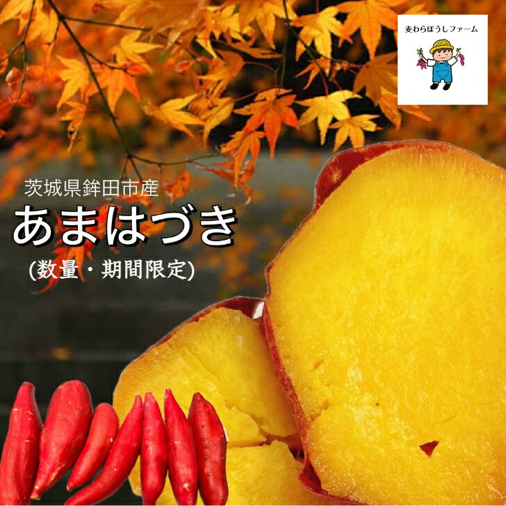 今年最後！【期間・数量限定】　新品種　あまはづき　茨城県 旭村　鉾田市産 5kg /10kg S / M / L/ 2L/3L　内容量 ／ サイズ選択 さつまいも 産地直送　しっとり　甘い