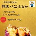 【セール中】熟成　べにはるか　茨城県 旭村 鉾田市産 5kg /10kg S / M / L/ 2L/ 3L　さつまいも