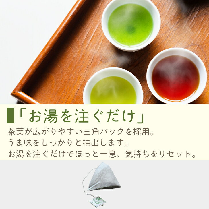 【 送料無料 】 かぶせ茶 緑茶 ティーバッグ 40個入 さえみどり お茶 深蒸し 煎茶 一煎用 ティーパック お茶パック 宮崎 宮崎県 川南町 JGAP認証 JGAP 六車農園 日本茶 茶葉 お茶葉 お茶っぱ 煎茶 国産 国内産 ギフト プレゼント おいしい