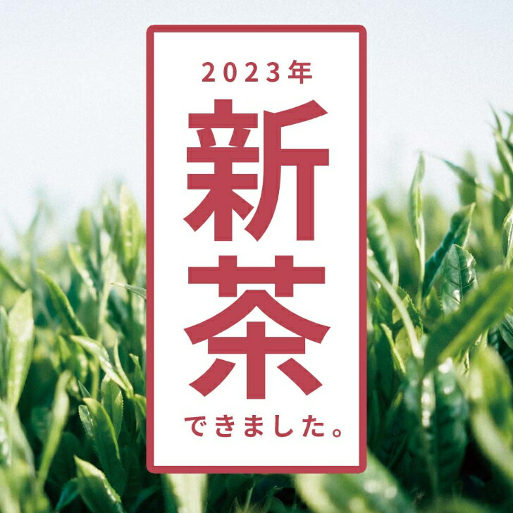 さえみどり 深蒸し茶 深蒸し 煎茶 かぶせ茶 赤 100g リーフ 彩翠 せんちゃ 日本茶 高級緑茶 緑茶 茶葉 お茶っ葉 お茶葉 お茶っぱ グリーンティー グリーンティ お茶 おちゃ 美味しいお茶 美味しい 贈り物 贈答用 ギフト 煎茶 国産 国内産 宮崎県 川南町 六車農園 メール便