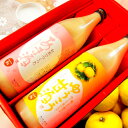 お歳暮 甘酒飲み比べセット ゆうこうあま酒 米麹あまざけ900ml/2本入