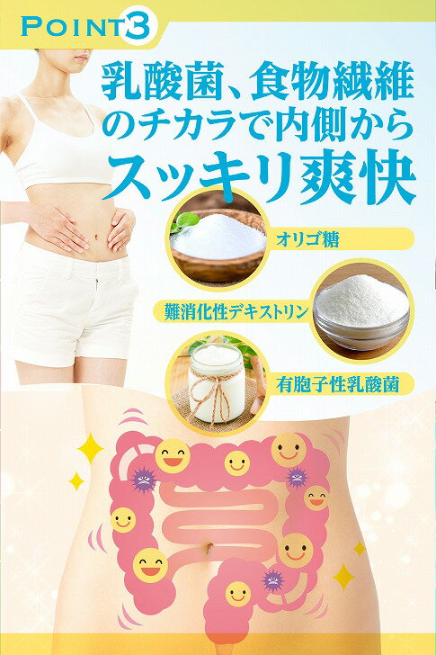 ブレスタイム150倍濃縮シャンピニオン3800mg配合乳酸菌食物繊維緑茶ポリフェノールエチケットサプリメント30日分90粒錠剤タイプ