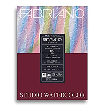 Fabriano Studio Cotton Alpha Cellulose Acid-Free Cold Press Watercolor Paper School Pack%カンマ% 90 lb%カンマ% 12 X 18 in by Fabriano