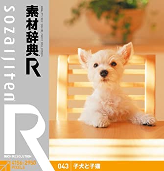 【中古】 素材辞典 R アール 043 子犬と子猫