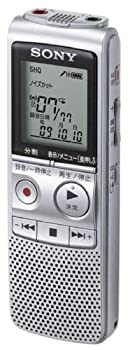 š SONY IC쥳 2GB BX80 ICD-BX80