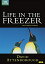 ̤ѡۡš Life in the Freezer -˴- DVD-BOX (6ԥ 174ʬ) [DVD] [͢] [PAL]