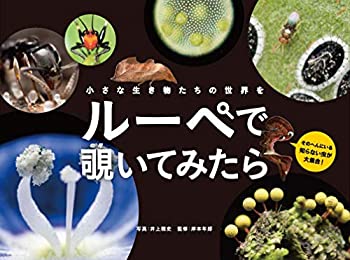 【中古-非常に良い】 小さな生き物たちの世界を ルーペで覗いてみたら (momobook)