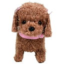 【未使用】【中古】 NEW いっしょにあそぼう トイプーモカ ぬいぐるみ