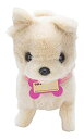 【中古】 NEW いっしょにあそぼう チワワのコロン