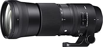̤ѡۡš SIGMA  150-600mm F5-6.3 DG OS HSM Contemporary C015 Nikon F-FXޥ Full-Size Large-Formatm