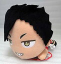 【中古-非常に良い】 ハイキュー!! フライングレシーブぬいぐるみvol.2 黒尾鉄朗