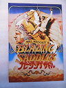 【中古】 映画パンフレット ブレージング・サドル メル・ブルックス監督 ジーン・ワイルダー クリーボン・リトル