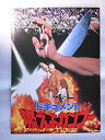【中古】 映画パンフレット ドキュメント 燃えよカンフー チュン・イー監督 リー・リンチェイ