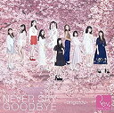  NEVER SAY GOODBYE ~arigatou~ (DVD付)