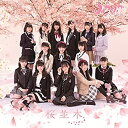 【未使用】【中古】 桜並木 (DVD付)
