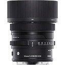 【未使用】【中古】 35mm F2 DG DN ソニーE用(2)