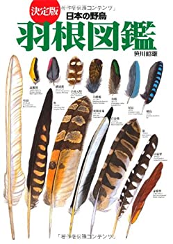 aya20-4418119019.jpg aya20-4418119019.jpg