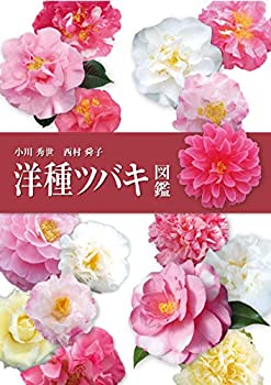 【未使用】【中古】 洋種ツバキ図鑑