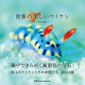 【中古】 世界の美しいウミウシ