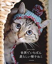 【中古】 世界でいちばん愛らしい帽子ねこ-CATS IN HATS