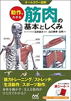 楽天ムジカ＆フェリーチェ楽天市場店【未使用】【中古】 動作でわかる筋肉の基本としくみ