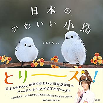 楽天ムジカ＆フェリーチェ楽天市場店【未使用】【中古】 日本のかわいい小鳥