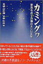 【中古】 カミングヮ—家族を癒す沖縄の正しい家相(3)